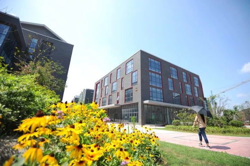 梅開(kāi)春光爛漫，聚能引領(lǐng)未來(lái)——鼓樓云創(chuàng)科技園軟件外包服務(wù)