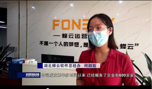 湖北蜂云軟件 壯大軟件開(kāi)發(fā)市場(chǎng)主體，促進(jìn)服務(wù)外包量增質(zhì)升