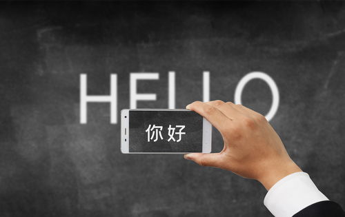 邯鄲軟件定制開發與外包服務 以萬幫為例的行業洞察